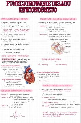 Układ Krążenia: Budowa, Funkcje i Fazy Pracy Serca