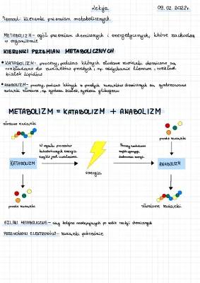 Metabolizm - Co to jest? Przykłady, Katabolizm i Anabolizm, ATP - Co to?