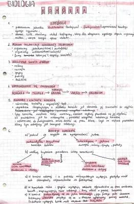 Notatki z Biologii Rozszerzonej: Budowa Komórek PDF za Darmo