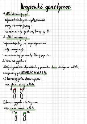 Genotyp i Fenotyp Krzyżówki - Biologia 8 Klasa