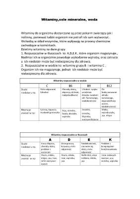 Charakterystyka witamin i soli mineralnych w wodzie – Rola, funkcje, przykłady w tabeli