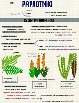 Znaczenie paprotników: Budowa, Rozmnażanie i Przemiana Pokoleń