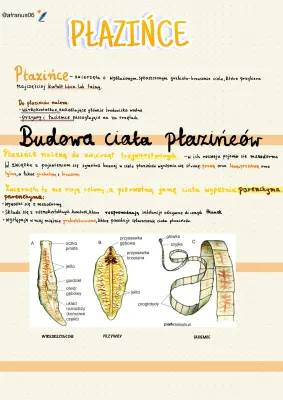 Flatworm Body Secrets: Shapes, Coverings, and Tummy Tricks!