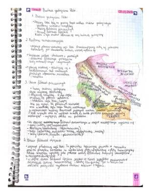 Budowa geologiczna Polski - notatki, mapa i prezentacja