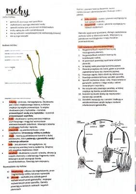 Budowa i Rozmnażanie Mchów - Wszystko o Mszakach