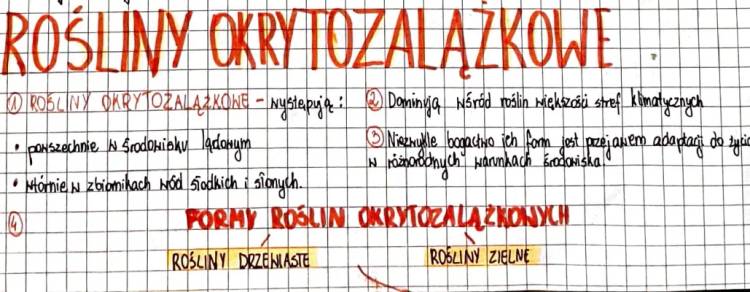 Rośliny Okrytonasienne: Przykłady, Ciekawostki i Prezentacja