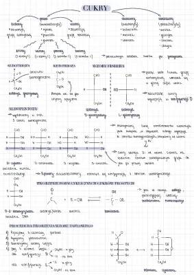 Cukry Chemia dla Klasy 8: Cukry Proste i Podział, Wzory Glukozy i Fruktozy