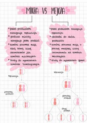 Mitoza i mejoza: Porównanie tabelą, liczba chromosomów w komórkach potomnych i znaczenie