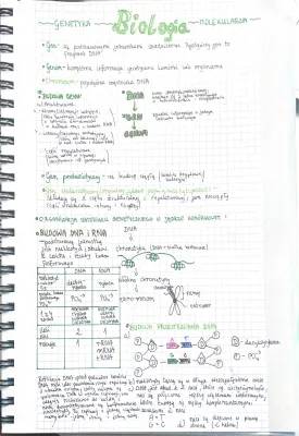 Genetyka Molekularna Podstawa: Budowa DNA, RNA i Geny - Sprawdzian 3 Liceum