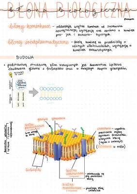 Budowa i funkcje błony komórkowej oraz biologicznej