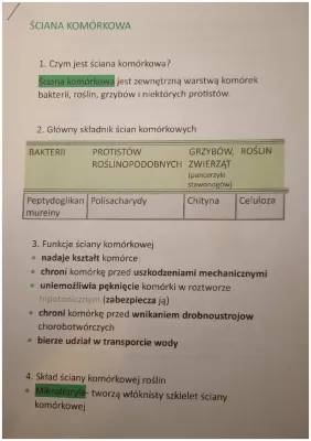 Budowa i Funkcje Ściany Komórkowej Roślin, Bakterii i Grzybów