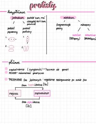 Protisty - Budowa, Cykl życia i Przykłady dla Klasa 5