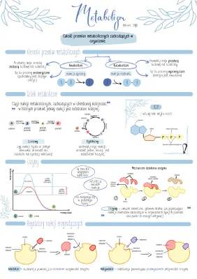 Co to jest Metabolizm? Procesy metaboliczne u człowieka i Enzymy