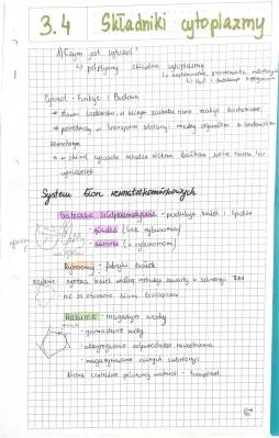 Składniki i Budowa Cytoplazmy - Czym są Organella i Cytozol?