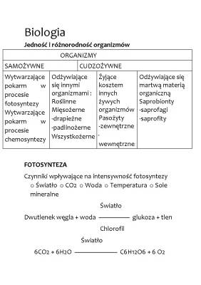 Fotosynteza Najprościej i Oddychanie Roślin: Co Musisz Wiedzieć