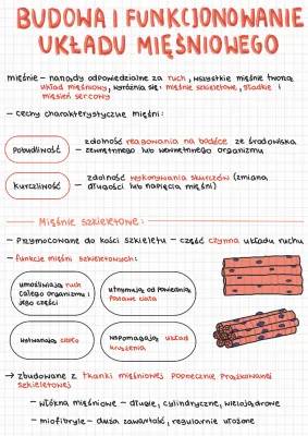 Jak działa mechanizm skurczu mięśnia? Odkrywamy tajemnice skurczu mięśnia szkieletowego!