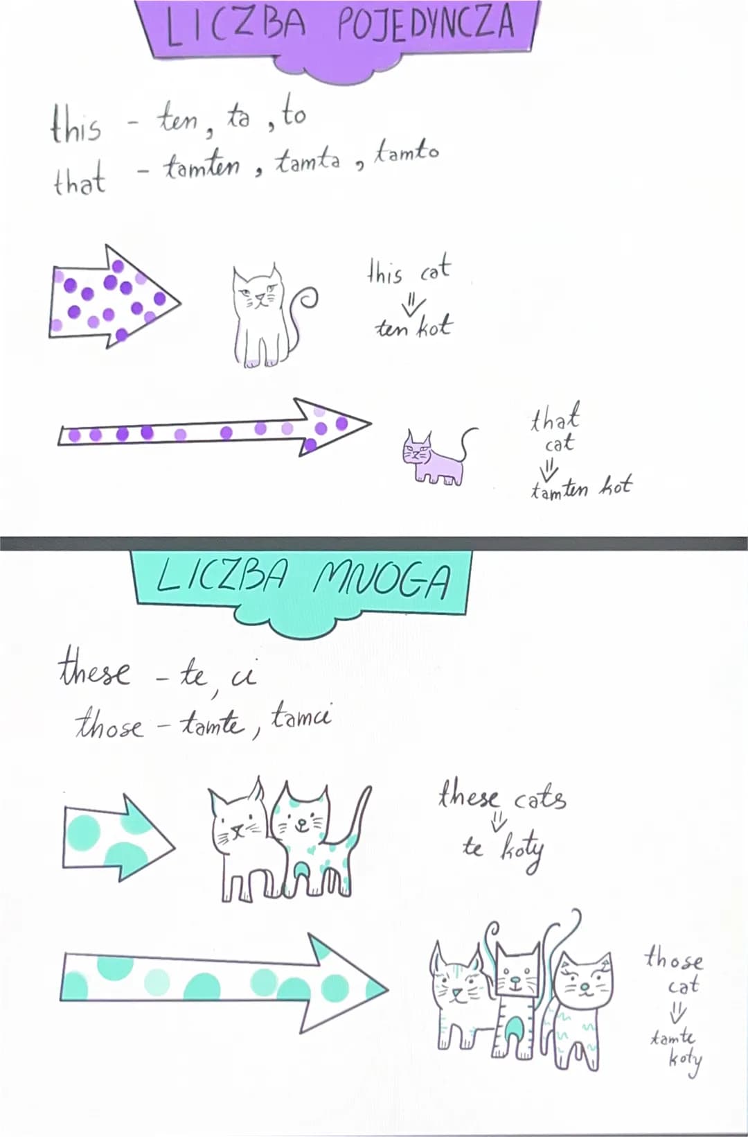 LICZBA POJEDYNCZA
this - ten, to, to
that
tamten, tamta, tamto
these - te, ci
those - tamte,
2
LICZBA MNOGA
tamci
this cat
"
ten kot
Ex Voll