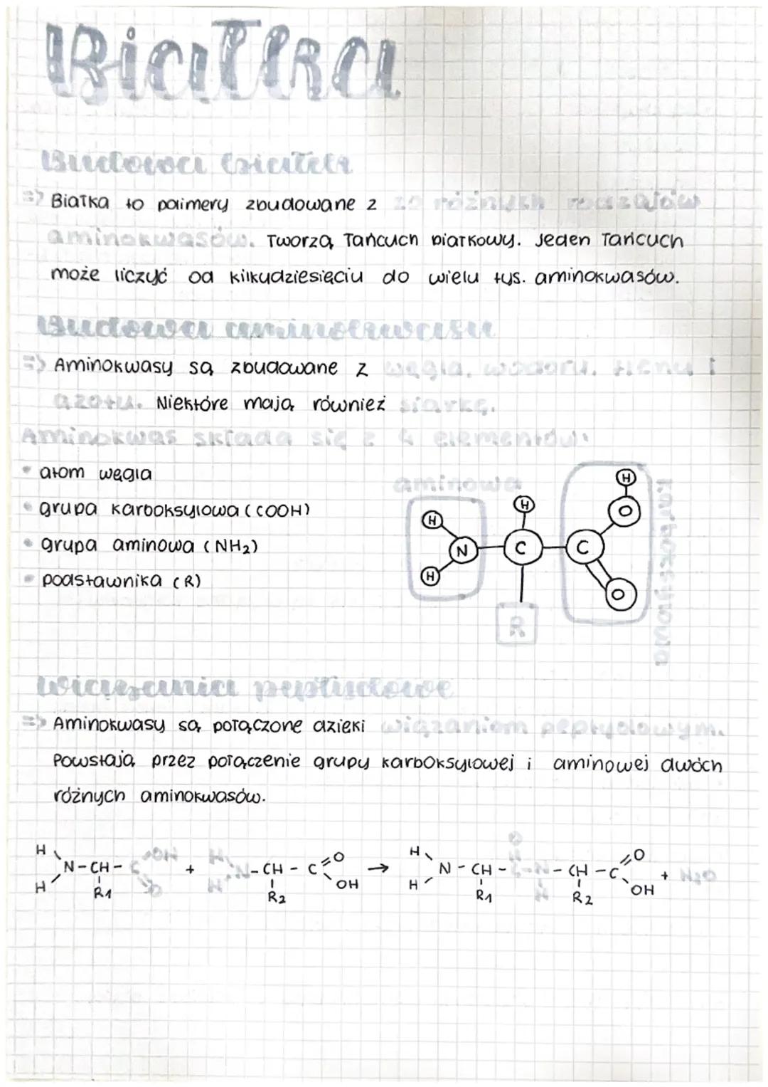 Biatha
Budowa Criciteer
Biatka to polimery zbudowane 2
inch DasNOW
aminorwasow. Tworzą Tańcuch biarkowy. Jeden Tańcuch
minokwase
może liczyć