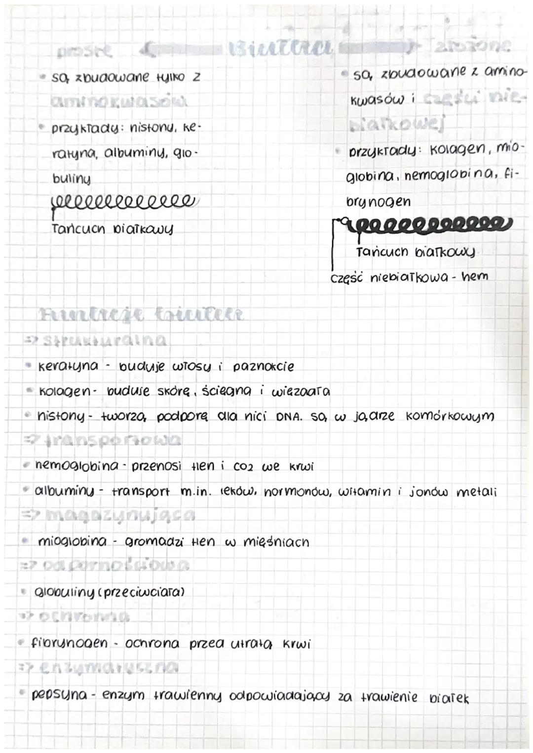 Biatha
Budowa Criciteer
Biatka to polimery zbudowane 2
inch DasNOW
aminorwasow. Tworzą Tańcuch biarkowy. Jeden Tańcuch
minokwase
może liczyć