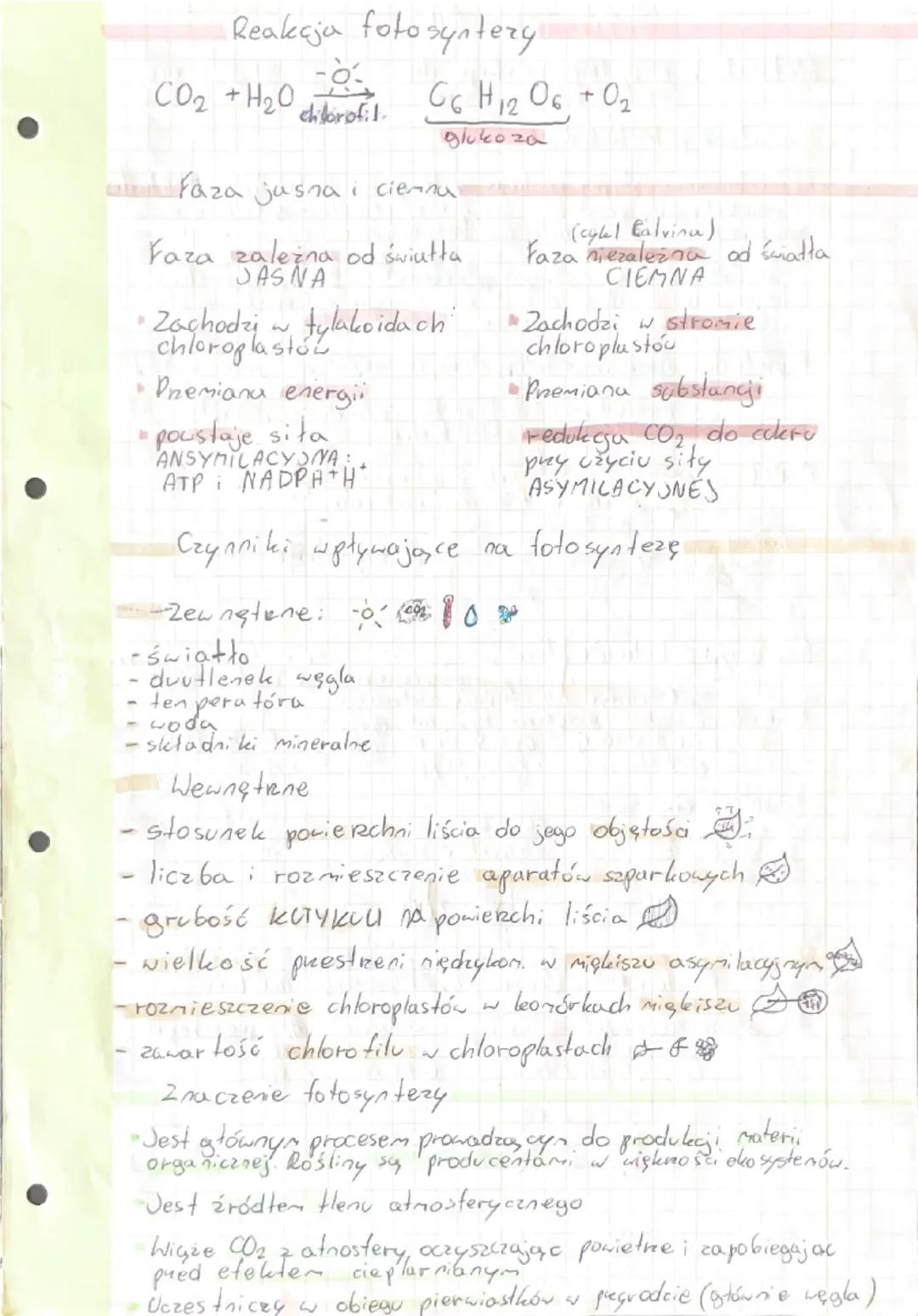 - 2 części białkovej i niebia thowej

APOENZYM + KOFAKTOR
(metale, grupy prostetyeme)
koenzymy

- 2 części białkowej wyróżnia się:
centrum a