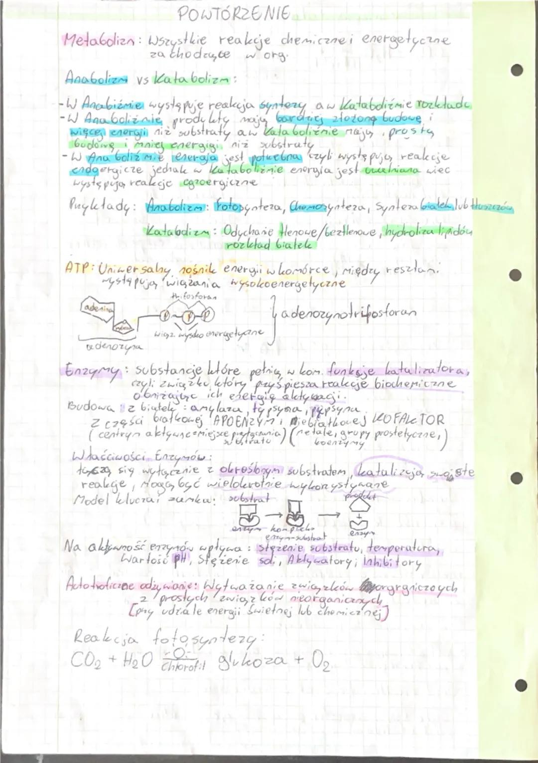 - 2 części białkovej i niebia thowej

APOENZYM + KOFAKTOR
(metale, grupy prostetyeme)
koenzymy

- 2 części białkowej wyróżnia się:
centrum a