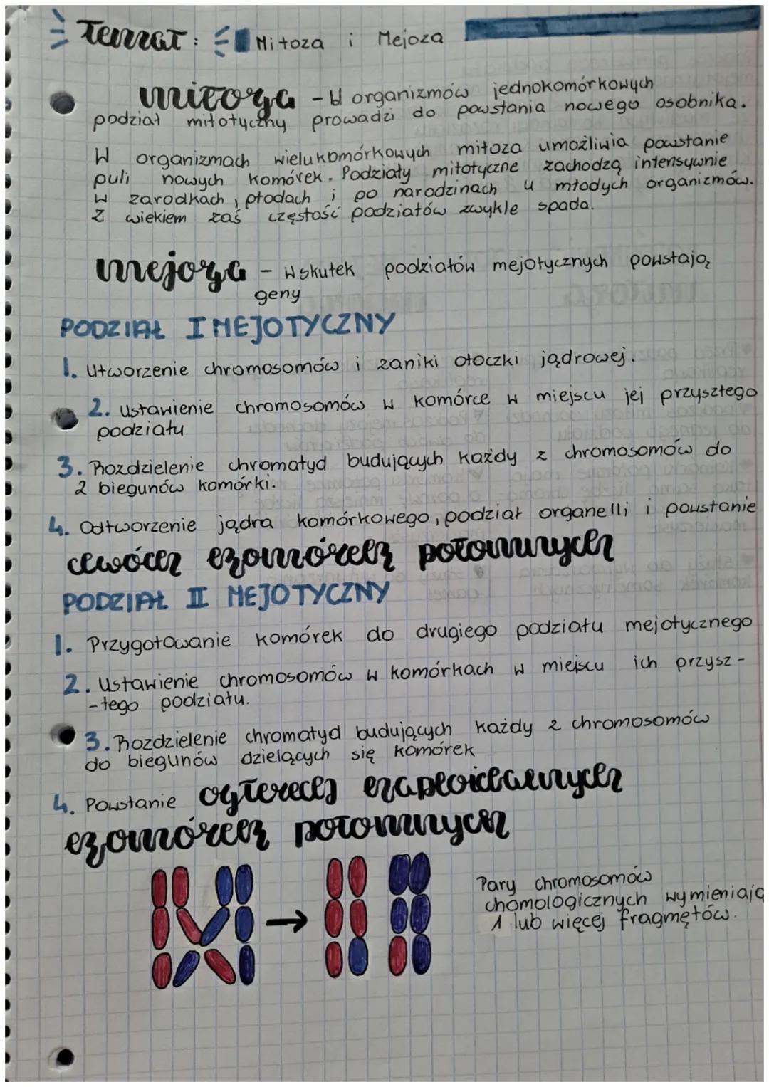 Terrat Mitoza i Mejoza
mitoge - organizmów jednokomórkowych
podział miłotyczny prowadzi do powstania nowego osobnika.
mitoza umożliwia powst