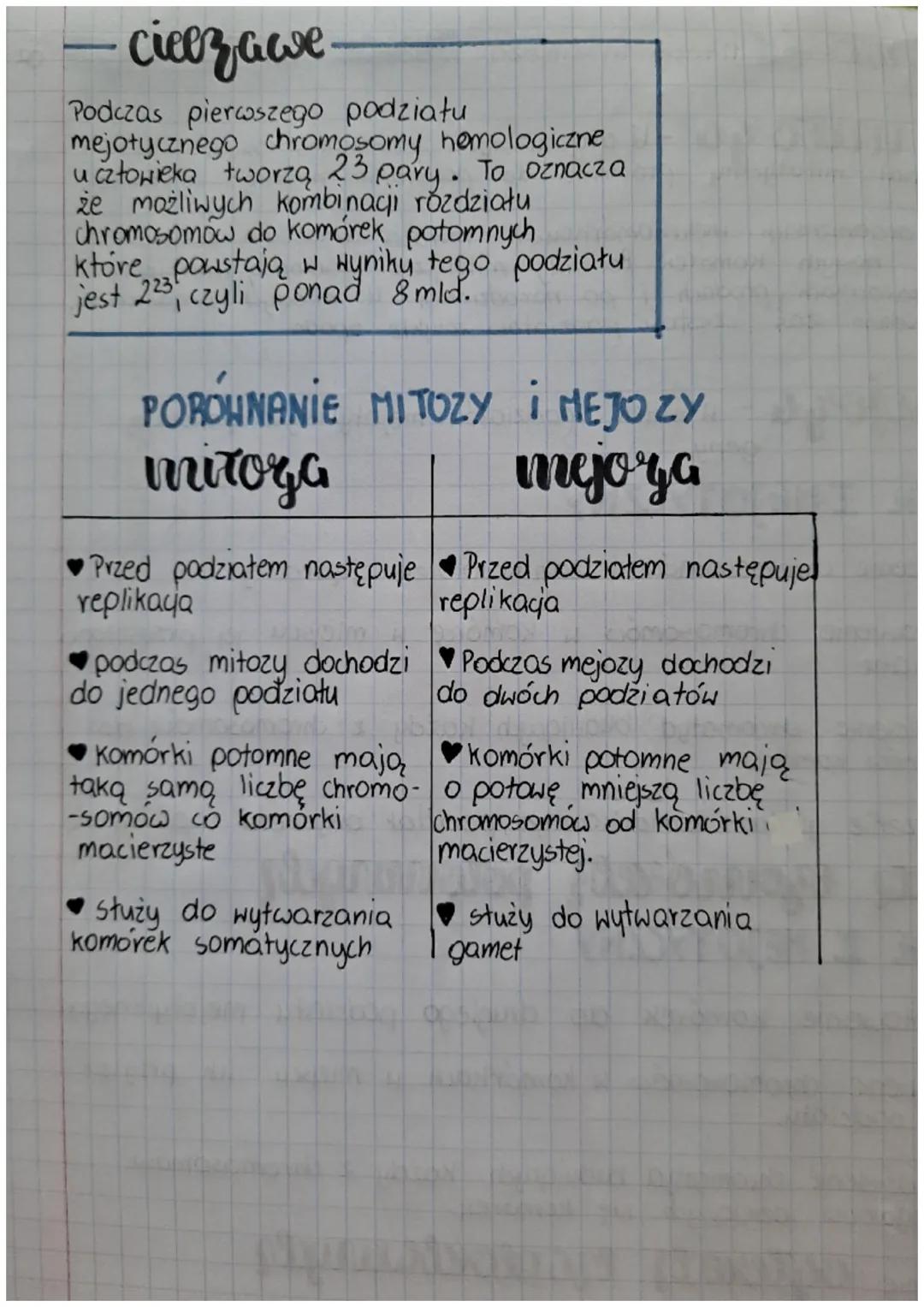 Terrat Mitoza i Mejoza
mitoge - organizmów jednokomórkowych
podział miłotyczny prowadzi do powstania nowego osobnika.
mitoza umożliwia powst