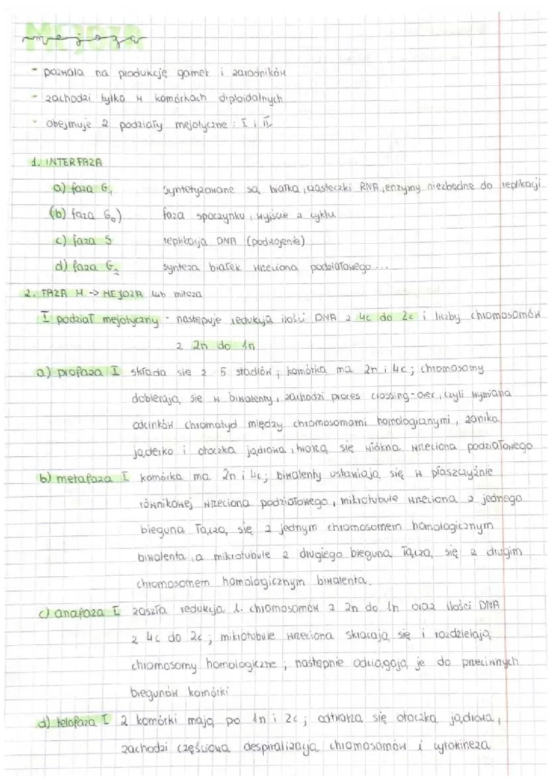 Mejoza 