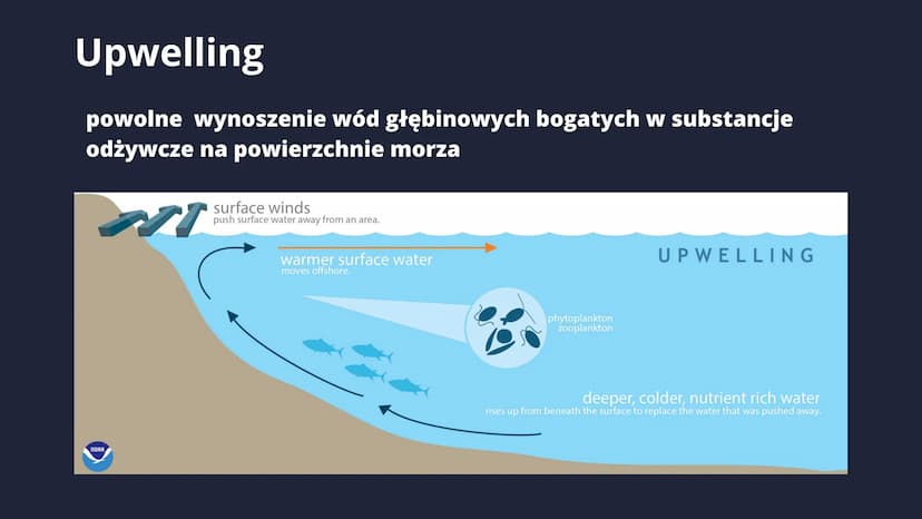 DYNAMIKA MÓRZ I
OCEANÓW
POZIOM ROZSZERZONY Spis
tresch
1. Pionowe ruchy wody.
2. Prądy morskie
3. Mechanizm ENSO
4. Falowanie Pionowe ruchy 