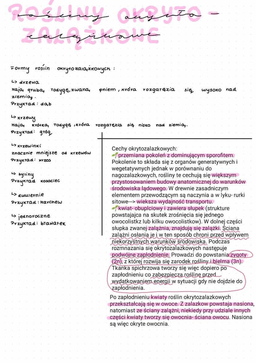 ROŚLINY NASIENNE
Są one typowymi organowcami i rolsinami naczyniowymi, a ich
r9zprzestrzenianie zachodzi za pośrednictwem nasion. Do roślin 