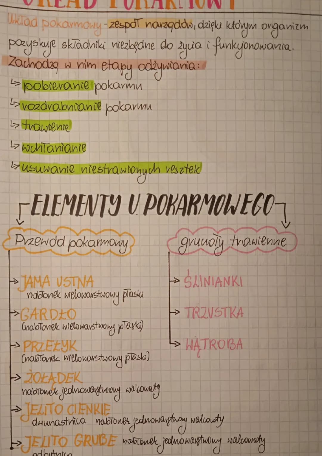 Układ pokarmowy - zespół narządów, dzięki którym organizm
pozyskuje składniki niezbędne do życia i funkcjonowani
Zachodzą w nim etapy odżywi