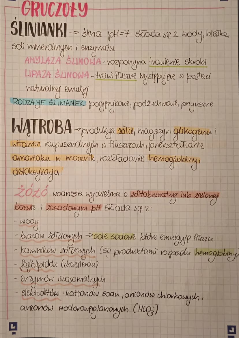 Układ pokarmowy - zespół narządów, dzięki którym organizm
pozyskuje składniki niezbędne do życia i funkcjonowani
Zachodzą w nim etapy odżywi