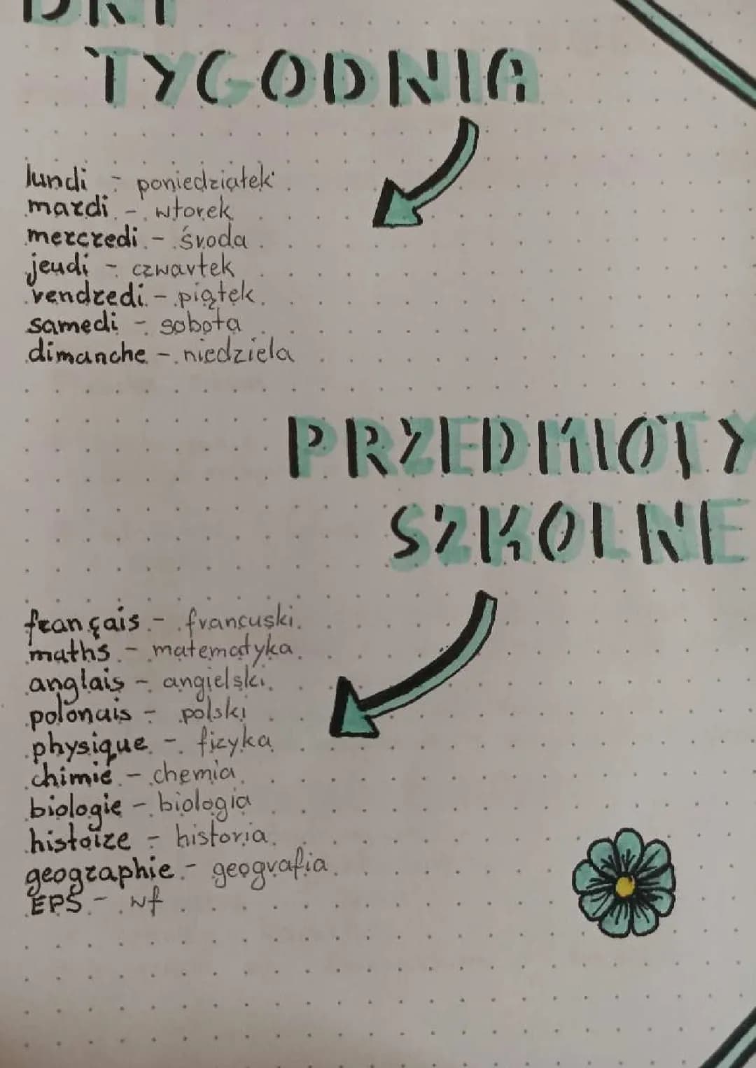 dni tygodnia i przedmioty po francusku 