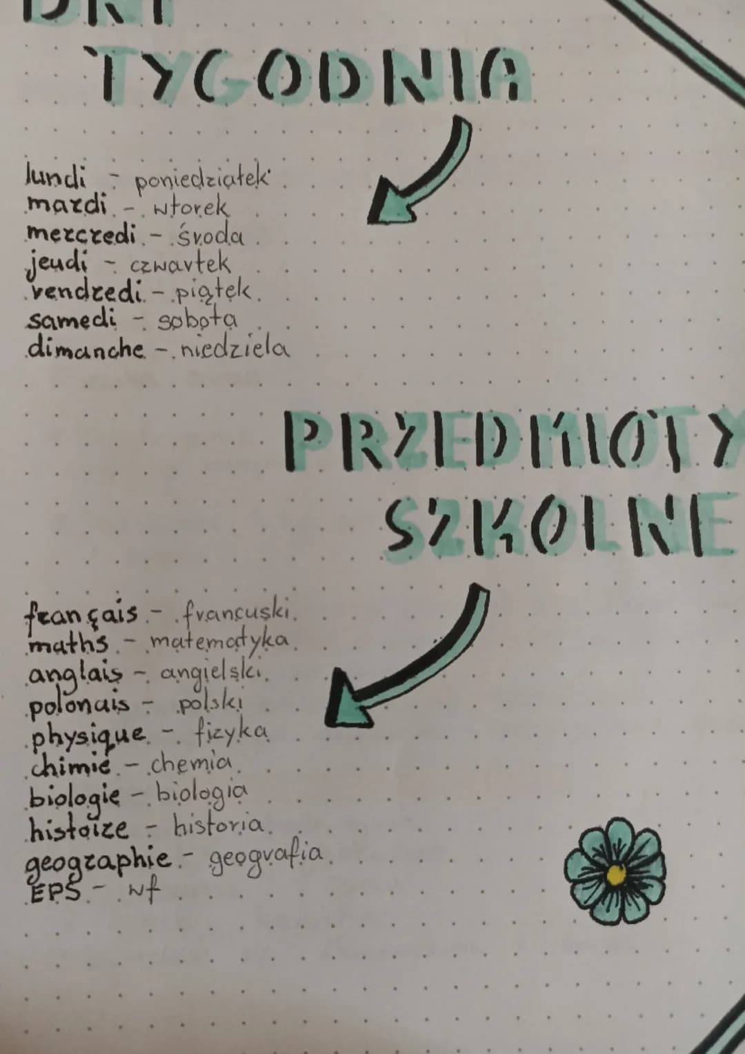 TYGODNIA
✓
poniedziałek
svoda.
Jundi
mardi - wtorek
mercredi
jeudi - czwartek
vendredi - piątek.
samedi - sobota
dimanche - niedziela
PRZEDM