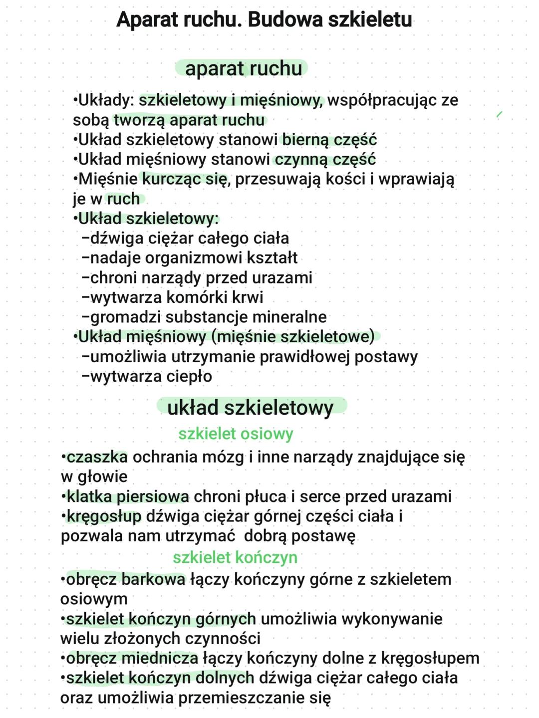 Aparat ruchu. Budowa szkieletu
aparat ruchu
•Układy: szkieletowy i mięśniowy, współpracując ze
sobą tworzą aparat ruchu
•Układ szkieletowy s