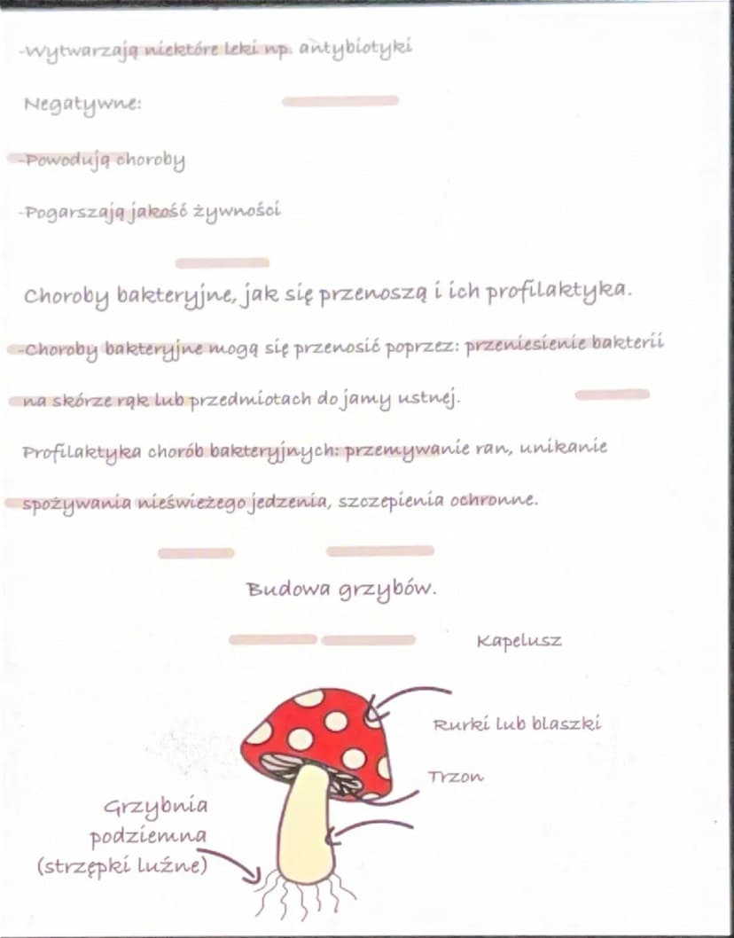 --- OCR Start ---
Wirusy, bakterie, grzyby
Dlaczego wirusy nie są zaliczane do żadnych z królestw?
-Ponieważ nie spełniają wykonują funkcji 