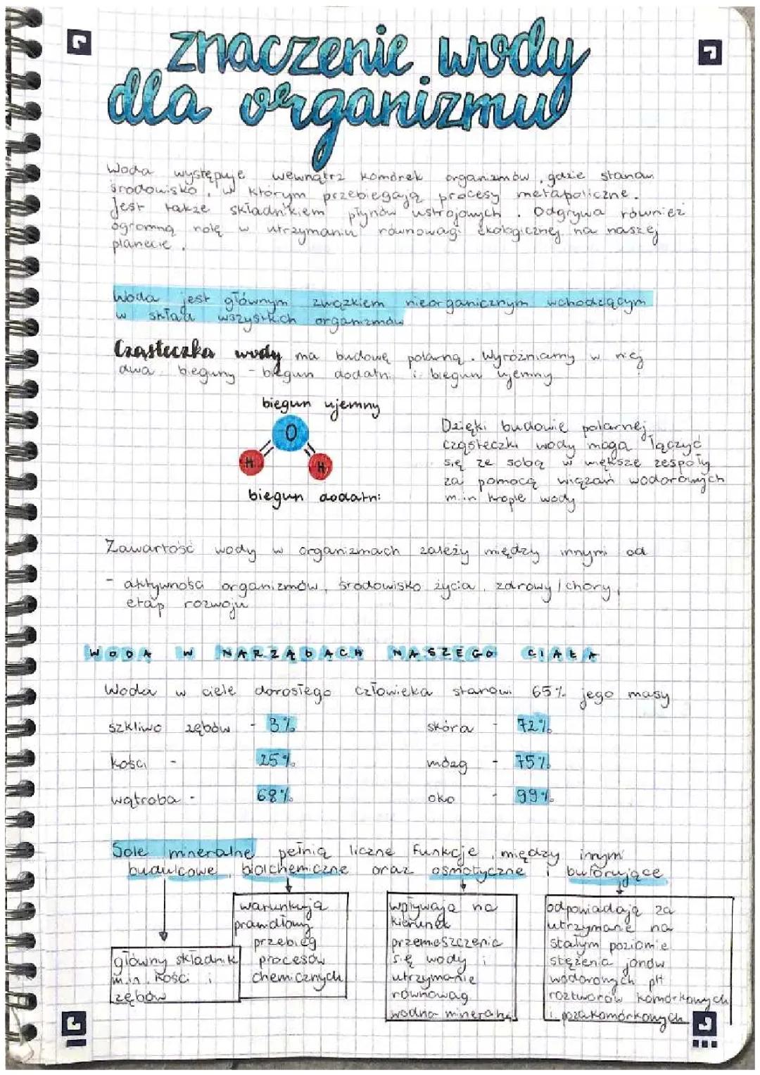 Znaczenie wody dla organizmu 