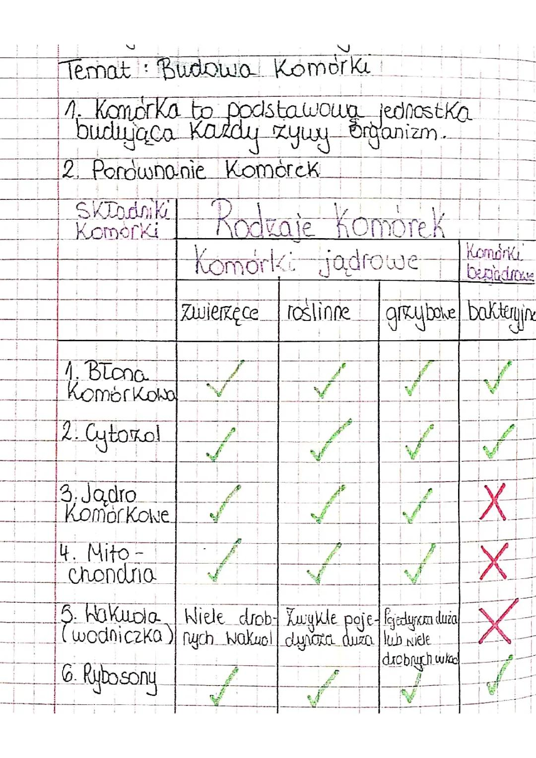 Charakterystyka i porównanie różnych typów komórek: zwierzęcych, roślinnych, grzybowych i bakteryjnych