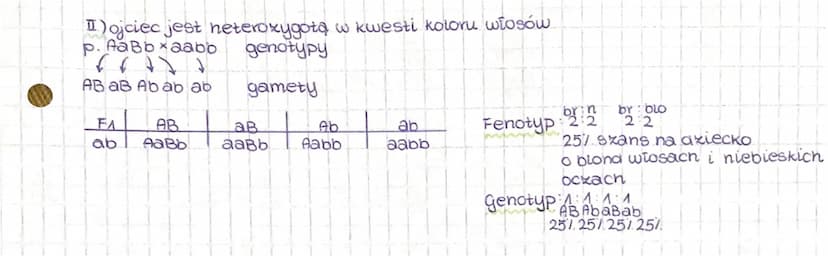 Krzyżówki genetyczne
geny występują w formie różnych odmian, wariantów tzw. alleli, które zawsze występują
pojedynczo.
allele jednego genu
A