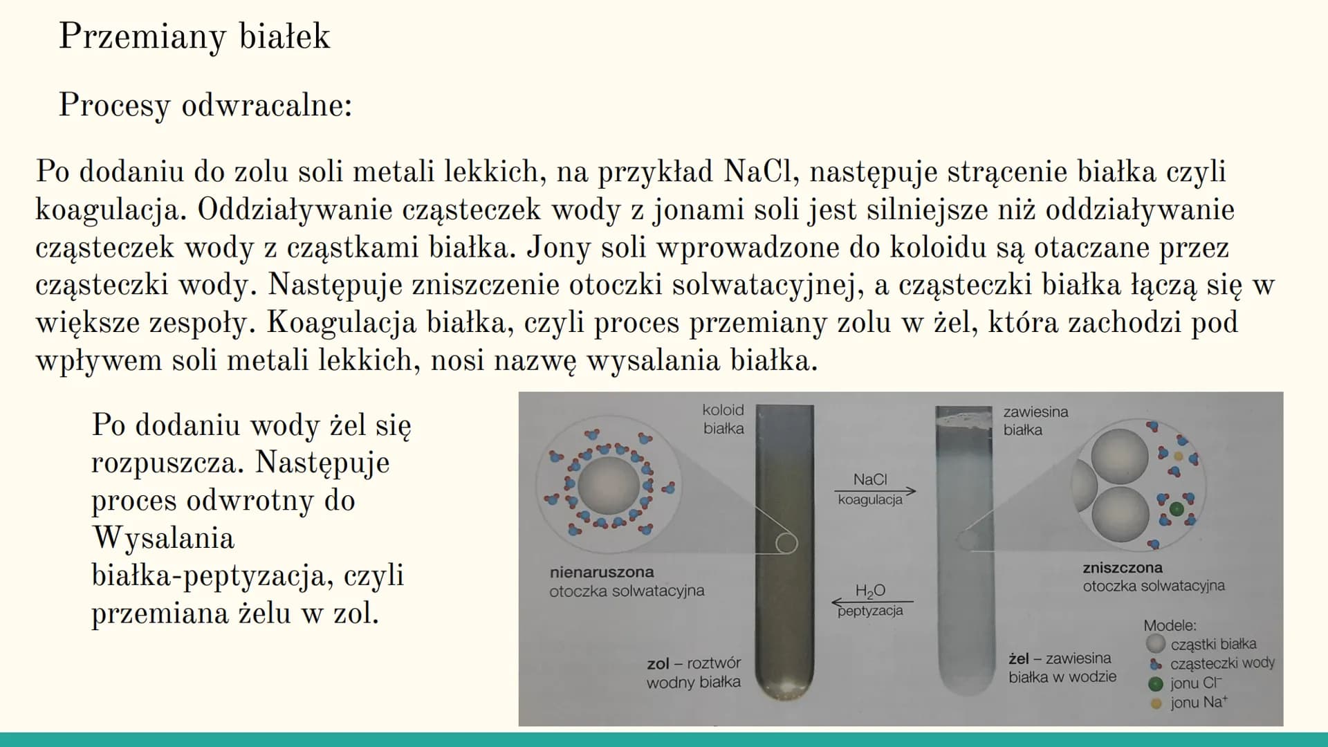 Białka
DELT
*******
BioStage Czym są białka?
Białka są polipeptydami zawierającymi 100 lub więcej reszt
aminokwasowych połączonych wiązaniam