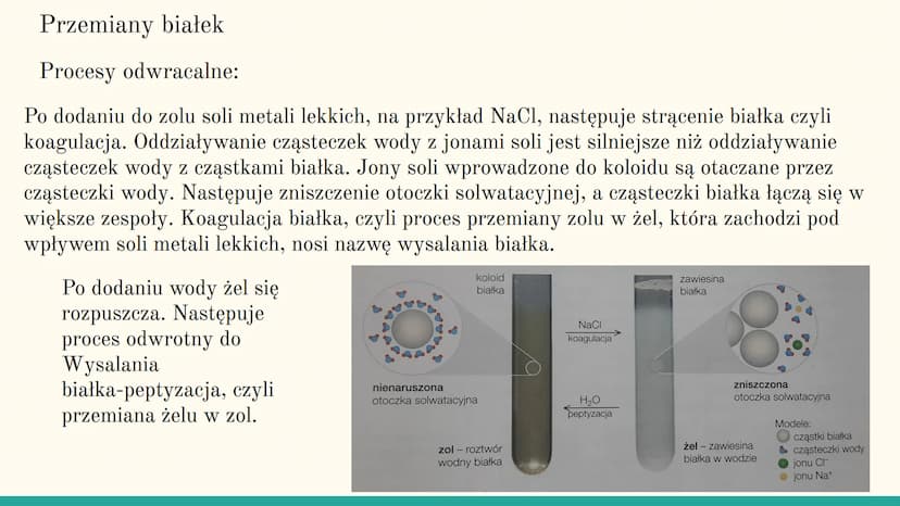 Białka
DELT
*******
BioStage Czym są białka?
Białka są polipeptydami zawierającymi 100 lub więcej reszt
aminokwasowych połączonych wiązaniam
