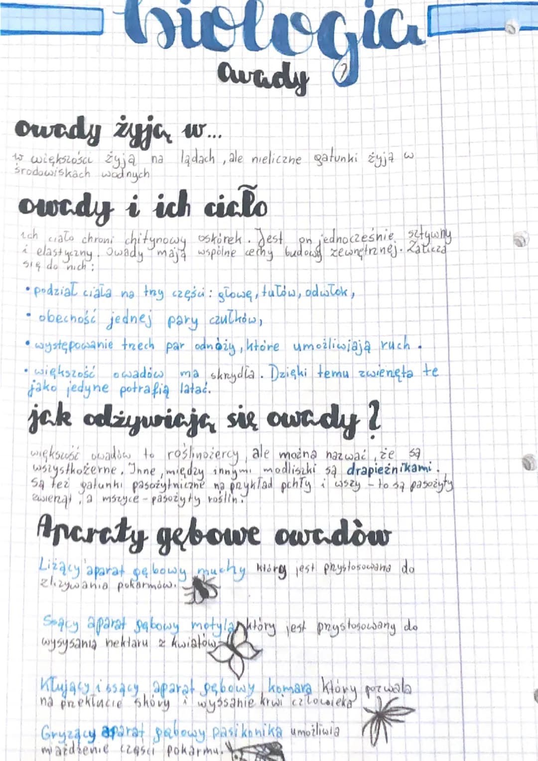iologia
su
owady żyją w...
to większości żyją na lądach, ale nieliczne gatunki żyją w
środowiskach wodnych
owady i ich ciclo
1ch ciało chron