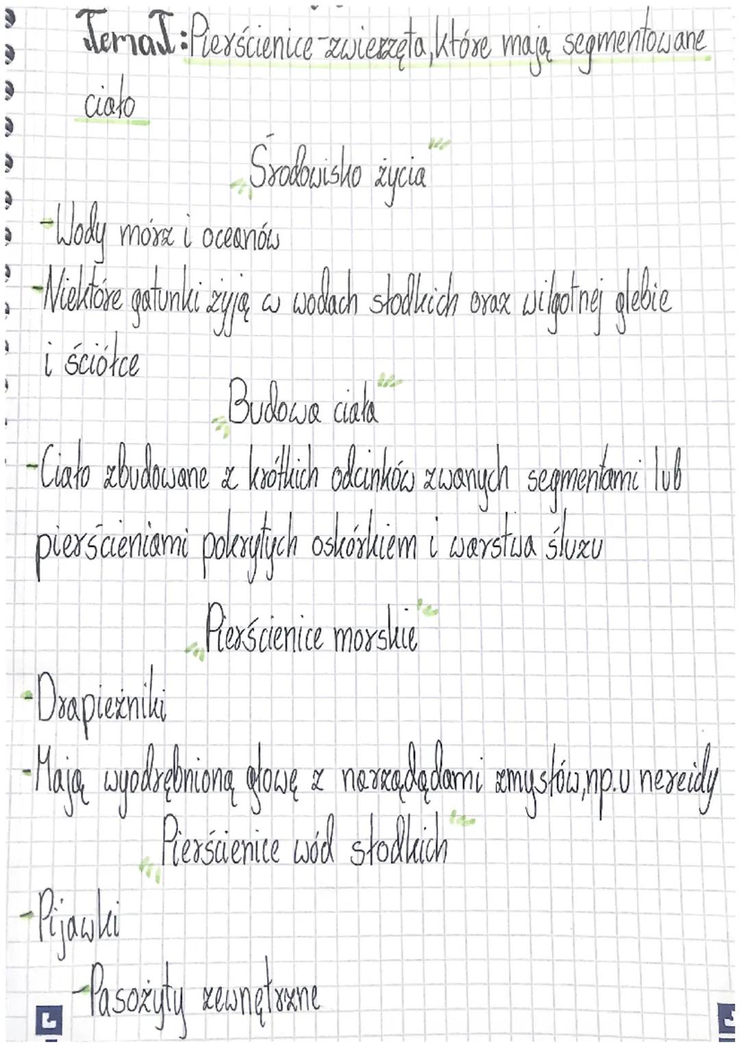Terial:Pierścienice zwierzęta, które mają segmentowane
ciolo

Środowisko życia

-Wody morx i oceanów
-Wiekare gatunki żyją w wodach stolkich