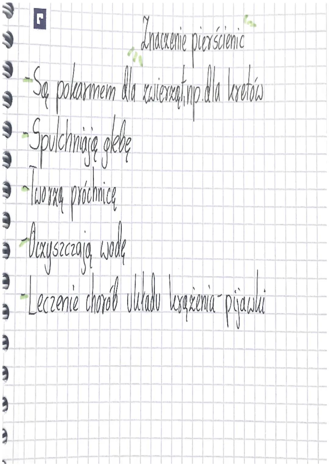 Terial:Pierścienice zwierzęta, które mają segmentowane
ciolo

Środowisko życia

-Wody morx i oceanów
-Wiekare gatunki żyją w wodach stolkich