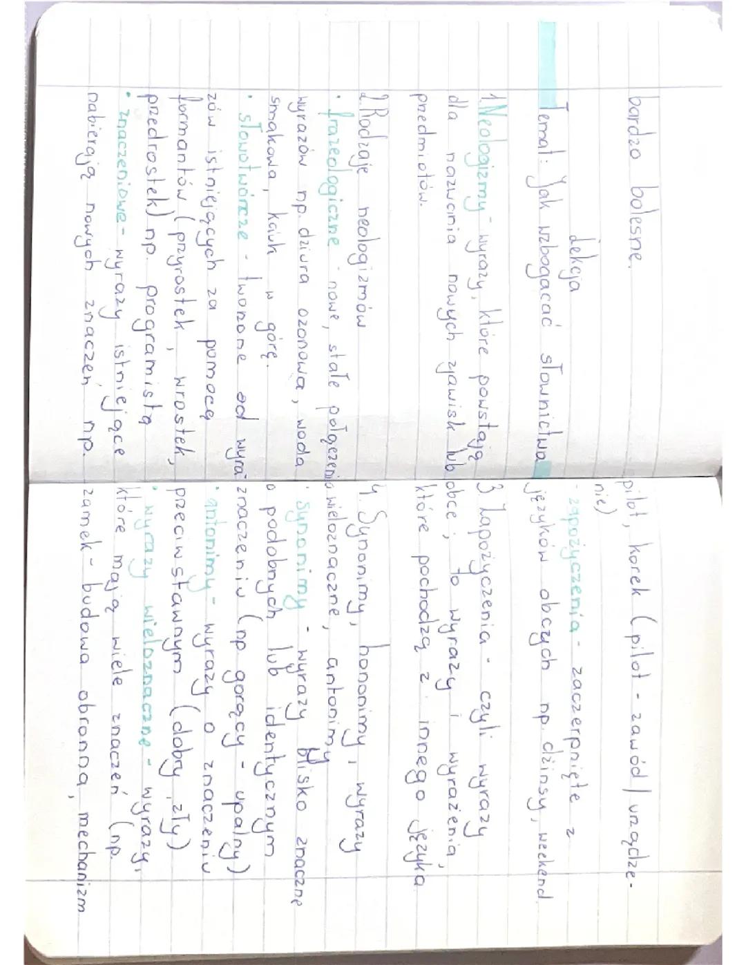 Rozwój słownictwa i rodzaje neologizmów