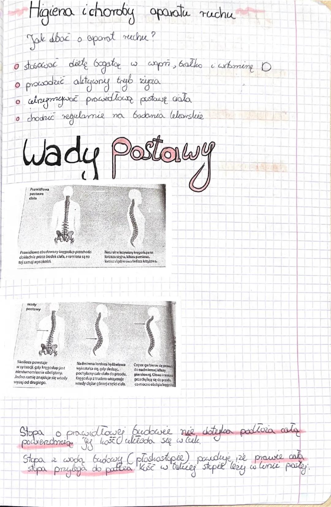 Fa
Bidega
Sprawdzian dist 2
Budowa kości
Podstawasum Gudulcem chelater człowieka jest tkanka bostna.
W jej sied wchodzą komórki kostne box w