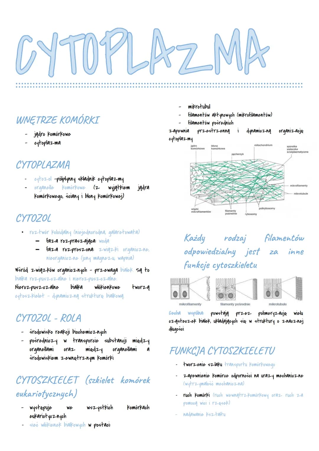 CYTOPLAZMA
WNĘTRZE KOMÓRKI
jądro komórkowe
cytoplazma
CYTOPLAZMA
cytozol -półpłynny składnik cytoplazmy
organelle komórkowe
komórkowego, ści