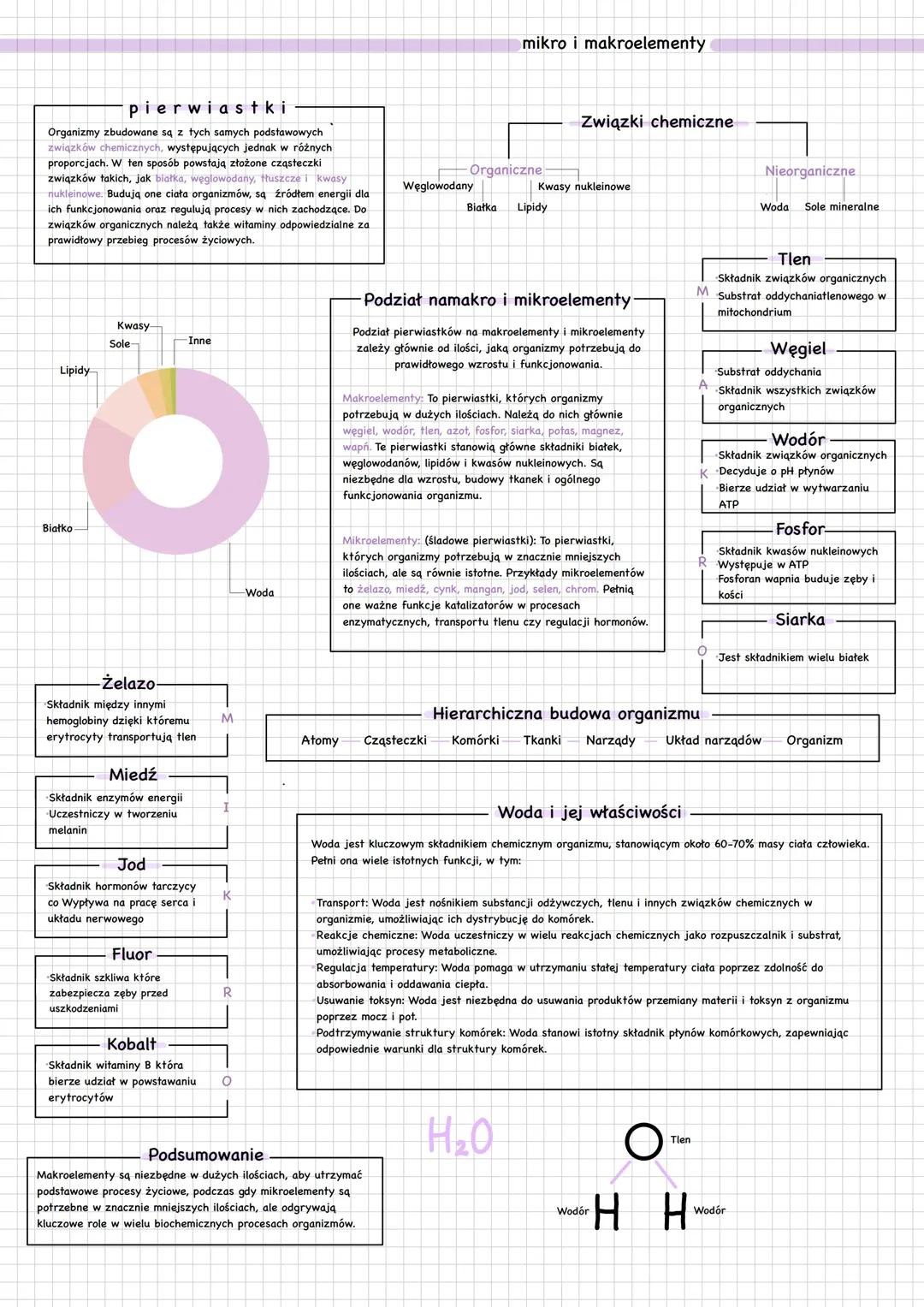 Mikro i makroelementy - kluczowe składniki chemiczne organizmu
