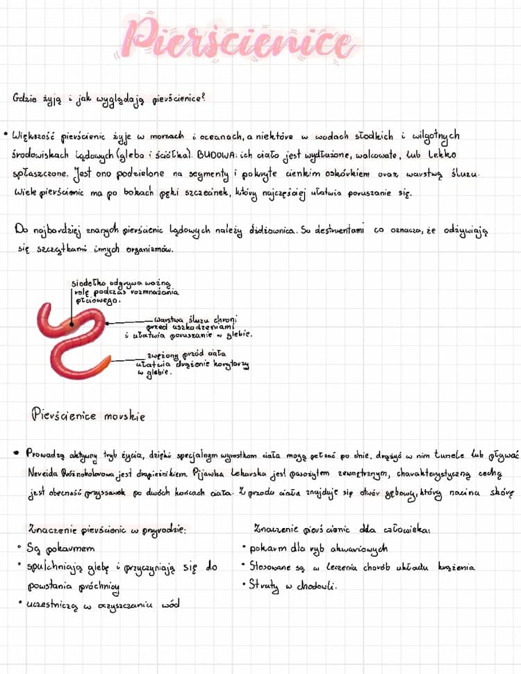 Know Pierścienice-klasa 6 thumbnail
