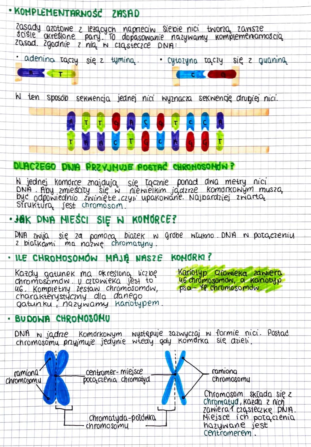 NOŚNIK INFORMACJI GENETYCZNEJ
DNA
Zapis wszystkich cech dziedzicznych organizmu nazywamy informacja
genetyczna. Jej nosnikiem jest material 
